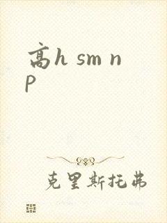 高h sm np封面
