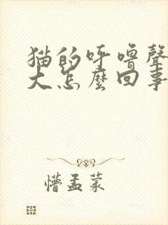 猫的呼噜声特别大怎么回事封面