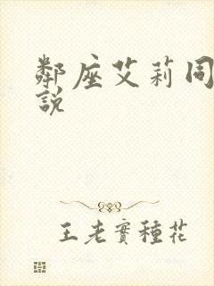 邻座艾莉同学小说