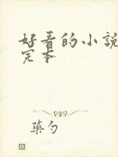好看的小说言情完本