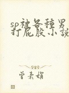 sp被各种男人打屁股小说