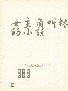 女主角叫林清妍的小说