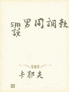 sm男同调教小说
