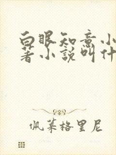 白眼知意小说原著小说叫什么名字啊