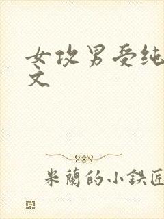 女攻男受纯高h文