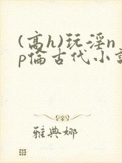 (高h)玩淫np伦古代小说