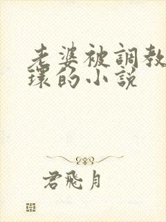 老婆被调教穿乳环的小说封面