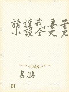 请让我妻子堕落小说全文免费阅读