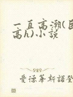 一直高潮(巨肉高h)小说