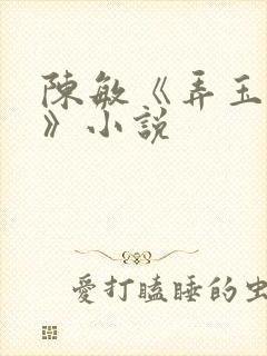 陈敏《弄玉偷香》小说