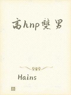高hnp双男