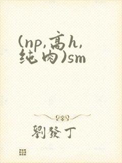(np,高h,纯肉)sm