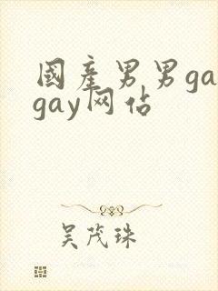 国产男男gaygay网站