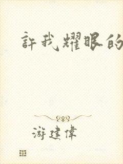 许我耀眼的结局