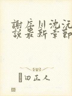 谢序川沈沅珠小说最新章节免费阅读封面