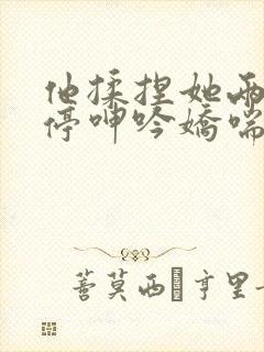 他揉捏她两乳不停呻吟娇喘小说封面