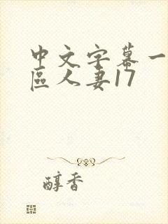 中文字幕一区二区人妻17