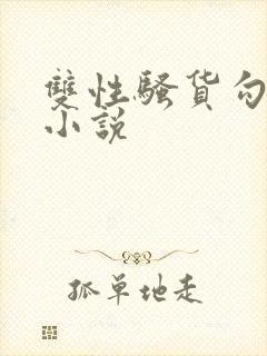 双性骚货勾引人小说