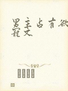 男主占有欲强的宠文