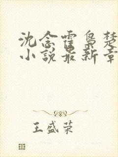 沈念霍枭楚莹莹小说最新章节更新免费阅读