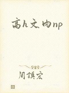 高h文肉np