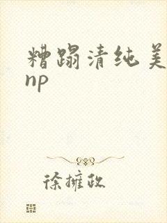 糟蹋清纯美人受np