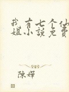 我有七个仙女姐姐小说免费