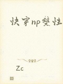 快穿np双性文