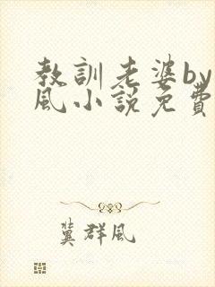 教训老婆by火风小说免费阅读全文