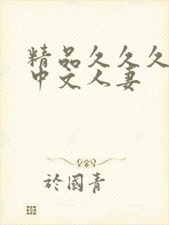 精品久久久久久中文人妻