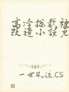 高冷总裁被催眠改造小说免费阅读