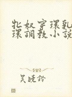 牝奴穿环乳环蒂环调教小说