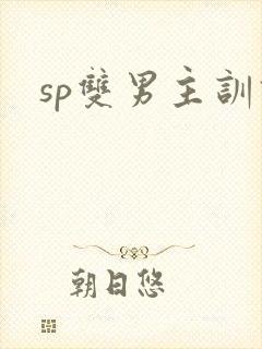 sp双男主训诫