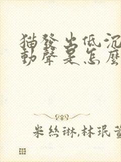 猫发出低沉的震动声是怎么回事