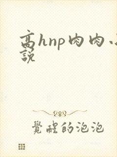 高hnp肉肉小说封面