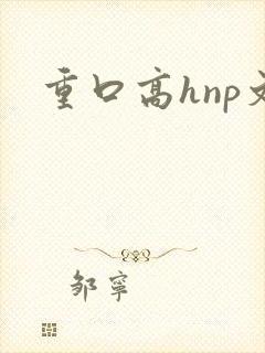 重口高hnp文