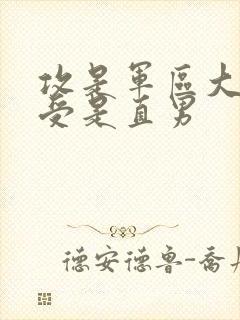 攻是军区大佬,受是直男