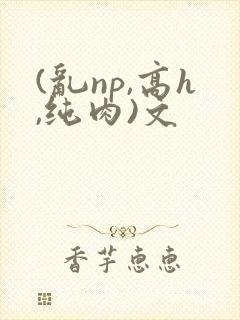 (乱np,高h,纯肉)文