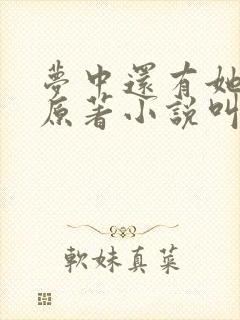 梦中还有她的城原著小说叫什么