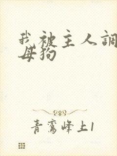 我被主人调教成母狗封面