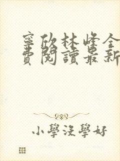 宁欣林峰全文免费阅读最新章节更新时间