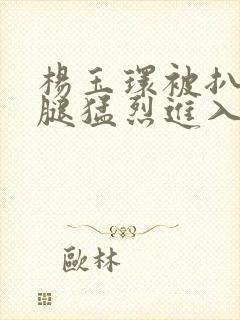 杨玉环被扒开双腿猛烈进入小说