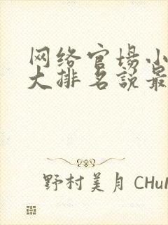 网络官场小说十大排名说最新排名