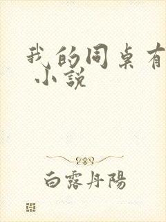 我的同桌有点冷 小说