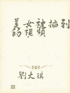 美女被插到高潮的视频