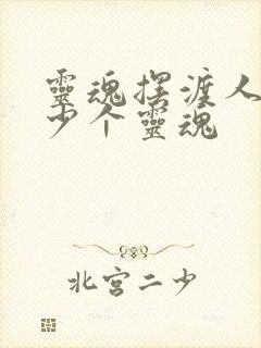 灵魂摆渡人有多少个灵魂