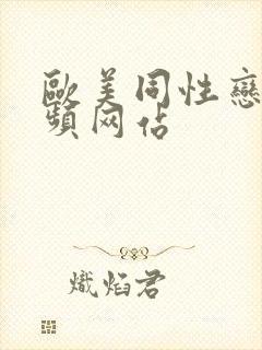 欧美同性恋男视频网站