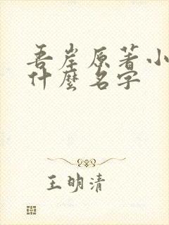 吾岸原著小说叫什么名字