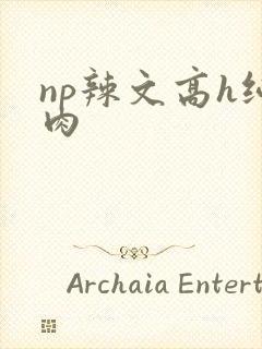 np辣文高h纯肉