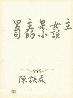 男主是女主的上司的小说